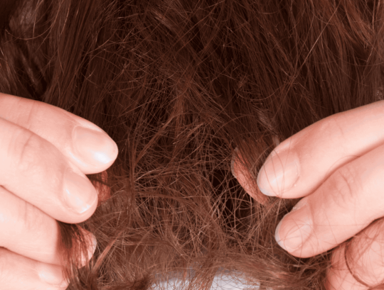 Olaplex töredezett haj